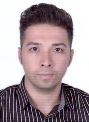 سیدمجید حسینی	